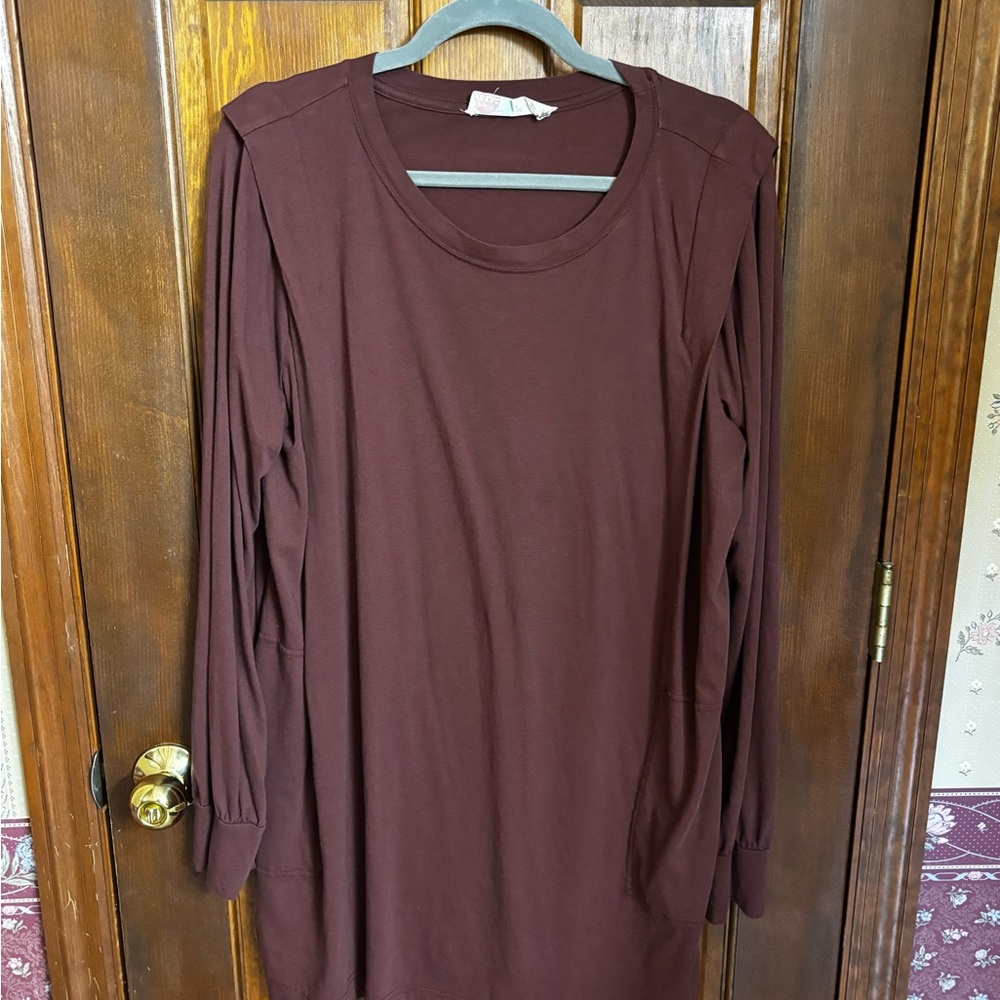 Free People Burgundy Long Sleeve Tunic Top